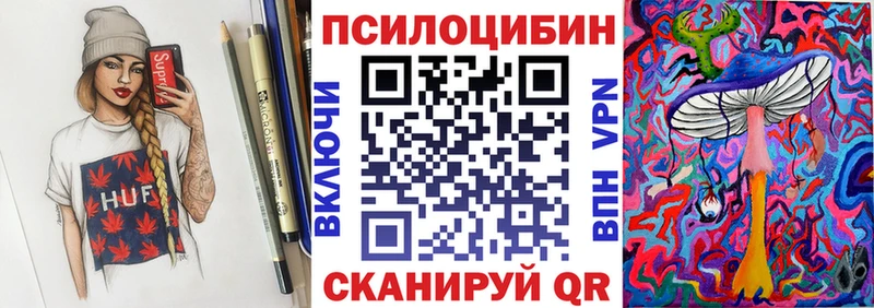 Псилоцибиновые грибы Psilocybine cubensis  Купить закладки  Чегем 